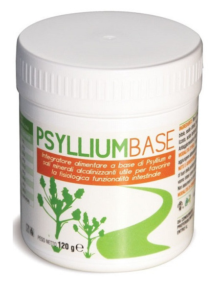 PSYLLIUM BASE POLVERE 120G AVD