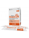 GLUPACUR 30STICK ORALI