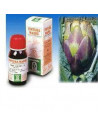 CYNARA SCOL.(CARCIOFO)TM 50ML