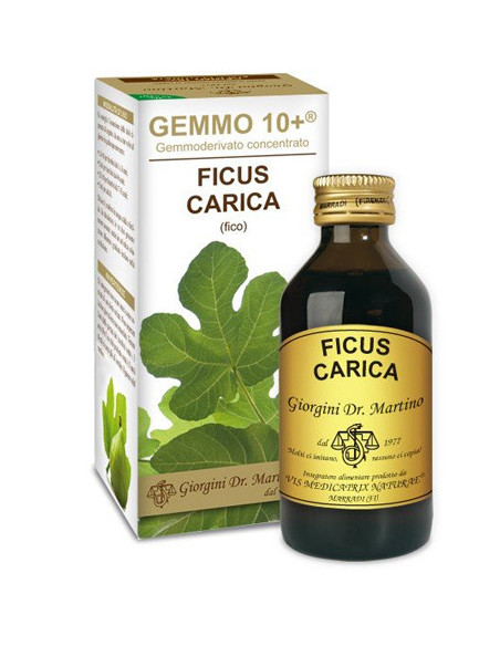 FICO 100ML LIQ ANALC GEMMO 10 piu