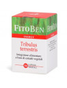 Tribulus terrestris 50 capsule