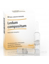 LEDUM COMP 10F 2,2ML HEEL