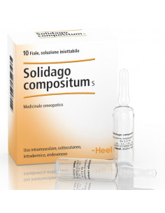 SOLIDAGO COMP 10F 2,2ML HEEL