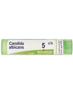 BO.CANDIDA ALB  5CH GR