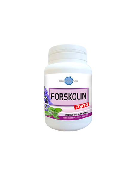 FORSKOLIN FORTE 60CPS