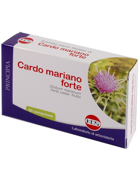 CARDO MARIANO FORTE 60CPR