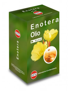 Olio di enotera 60prl 500mg