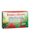 Energy adapt 24cpr