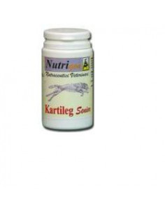 Kartileg senior 30tav