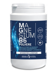 Magnesium b6 polv 200gr erba v