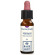 Vervain original 10ml gtt