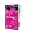 Echinacea fast 20 compresse