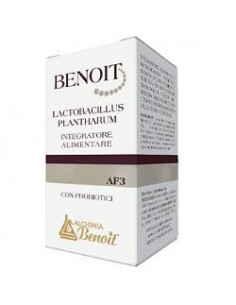 Benoit lactobacillus plantharu