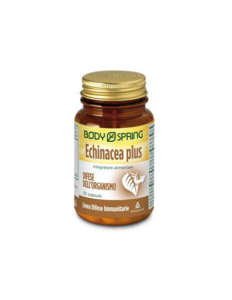 Body spring echinacea p 30 capsule