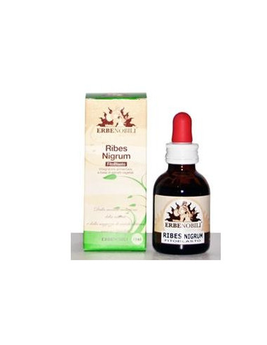 Fitoblasto ribes nigrum 50ml