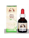 Fitoblasto ribes nigrum 50ml