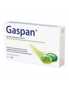 Gaspan 14 capsule molli gastroresistenti