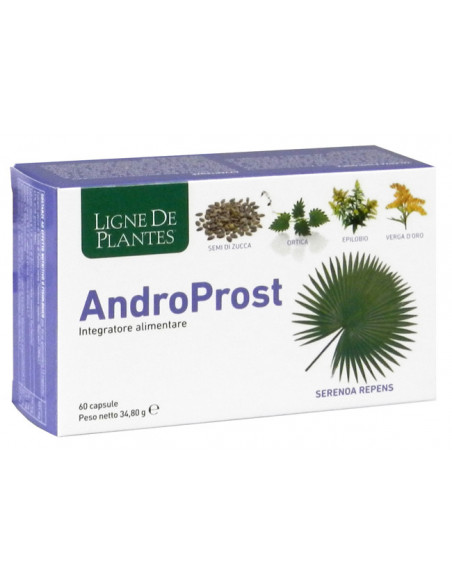 Androprost 60 capsule