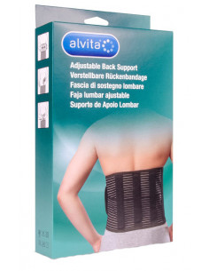 Alvita fascia lombare 1