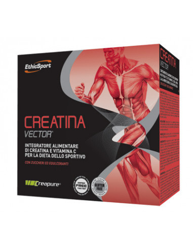 Creatina vector 20bust 8g