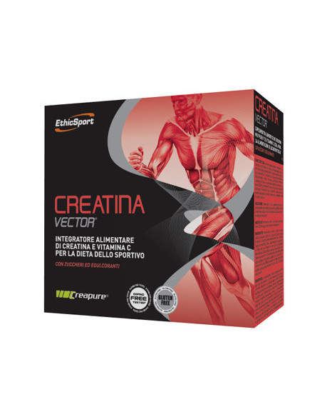 Creatina vector 20bust 8g