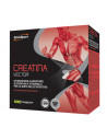 Creatina vector 20bust 8g