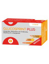 GLUCOSPRINT PLUS ARANCIA 6F