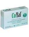 COYAL 30CPR 1300MG