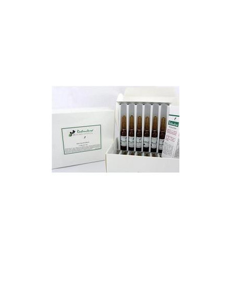 Restructura siero antir 5ml 12