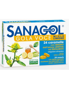 Sanagol gola voce 24car erisim