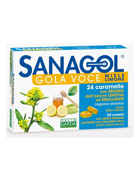 Sanagol gola voce 24car erisim