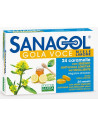 Sanagol gola voce 24car erisim