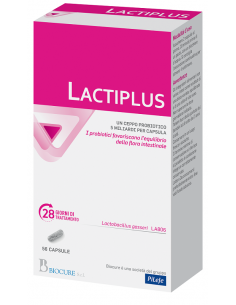 Lactiplus 56cps