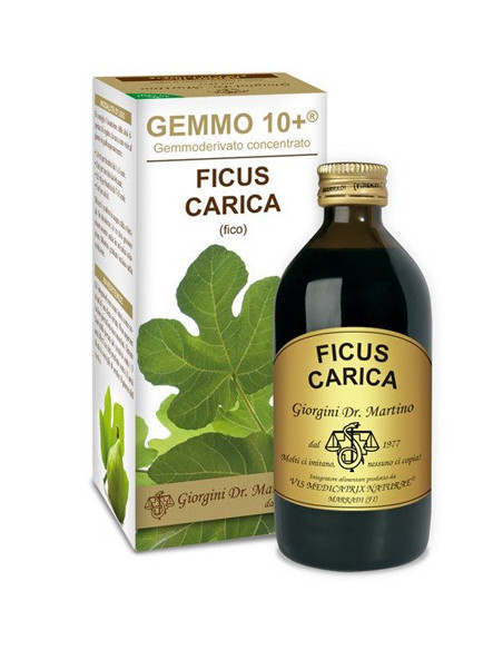 Fico 200ml liq analco gemmo10+