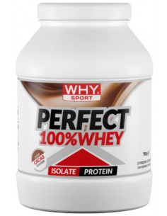 Perfect 100%whey cacao 900g