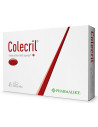 PHARMALUCE COLECRIL 45 CAPSULE MOLLI COLESTEROLO - Clubfarma