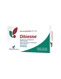 DIBIESSE 30CPR