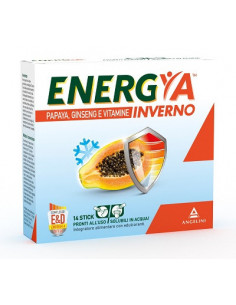 ENERGYA INVERNO 14BUST