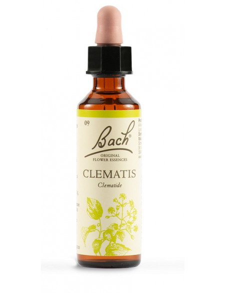 CLEMATIS FIORI DI BACH ORIGINAL GOCCE PRESENZA 20ML