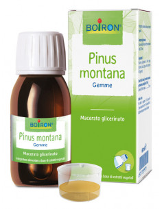 BO.PINUS MONTANA MG 60ML INT