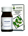 Uncaria 60 capsule da 500 mg arcan