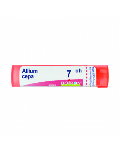 Allium cepa 7ch 80gr 4g