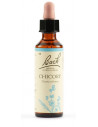 Chicory fiori di bach 20ml