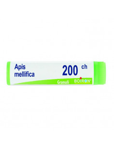 Apis mellifica 200ch gl