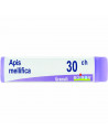 BO.APIS MELLIF.30CH DOSE