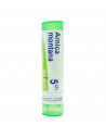 ARNICA 5CH GL