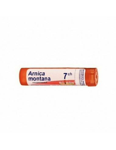 Arnica montana 7ch 80gr 4g