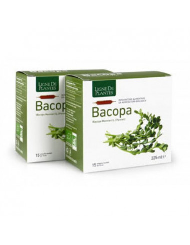 Bacopa bio 15fll 15ml ligne de