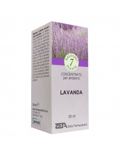 BALS 7PTE CONC LAVANDA 30ML