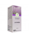 BALS 7PTE CONC LAVANDA 30ML